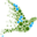 Innovate Web Creation