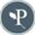 Pretty Divi Theme Shop